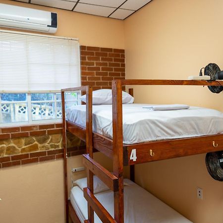 Yellow Belly Backpackers San Ignacio Kamer foto